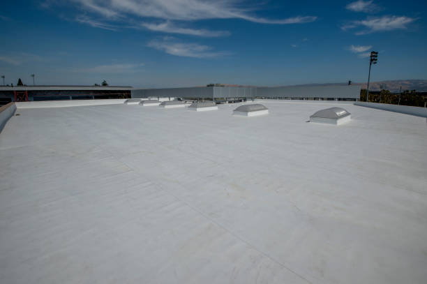 Best Metal Roofing Installation  in Raymond, IL