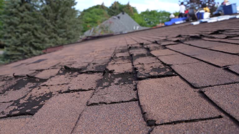Best Asphalt Shingles Roofing  in Raymond, IL