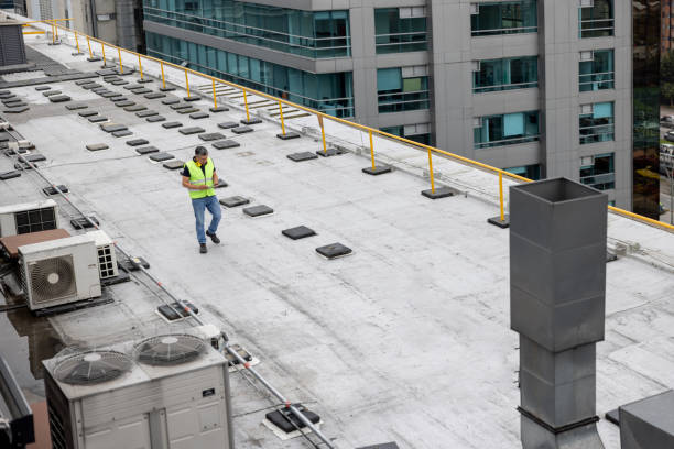 Best Roof Ventilation Installation  in Raymond, IL