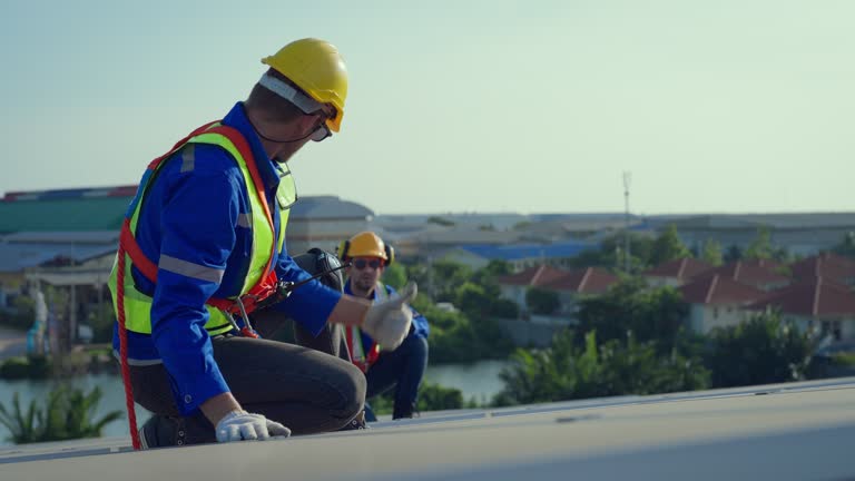 Best Steel Roofing  in Raymond, IL