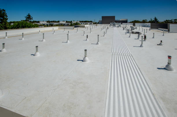 Best 4 Ply Roofing  in Raymond, IL
